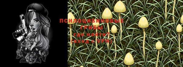 a pvp Пересвет