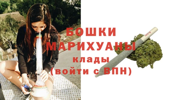 a pvp Пересвет