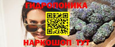 гидра Братск