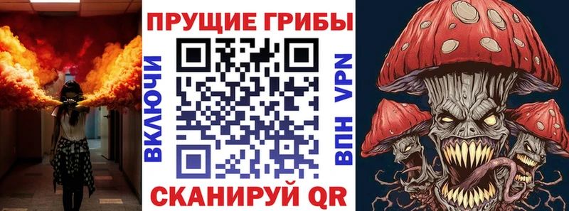 Галлюциногенные грибы GOLDEN TEACHER  blacksprut зеркало  Буйнакск 