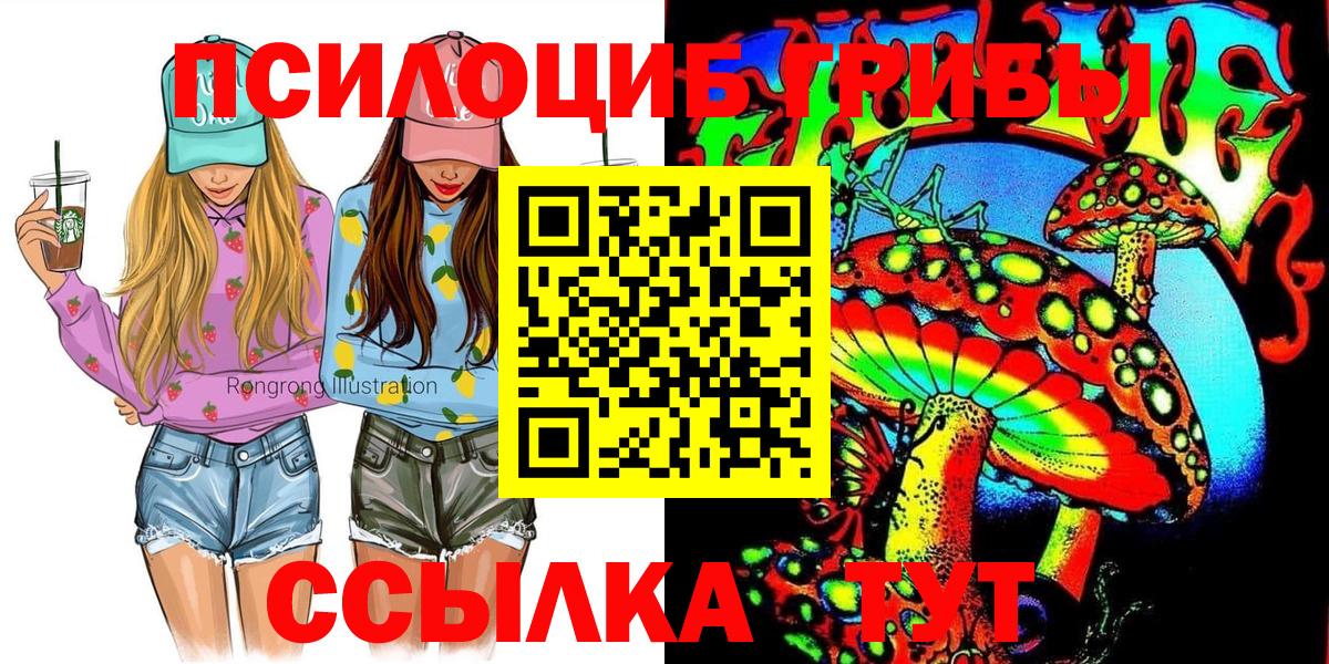 Галлюциногенные грибы GOLDEN TEACHER Буйнакск